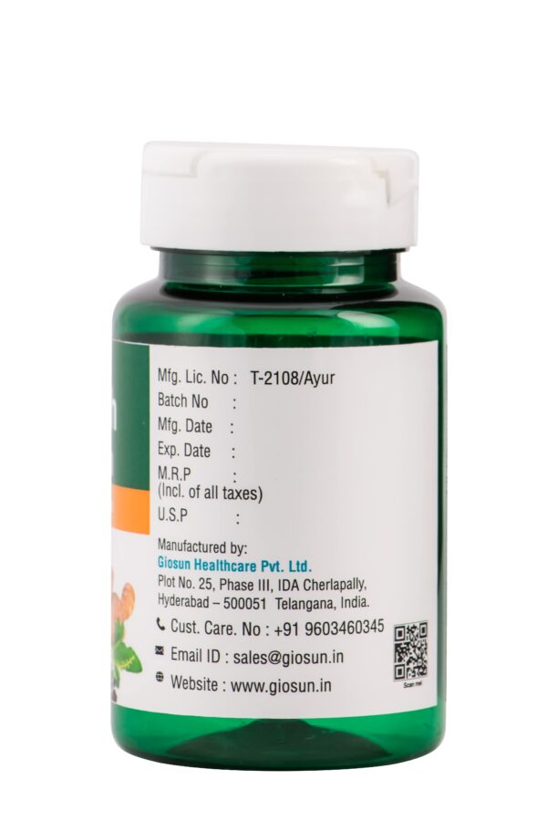 Ayush Kwath Churna - 500gms - Image 2