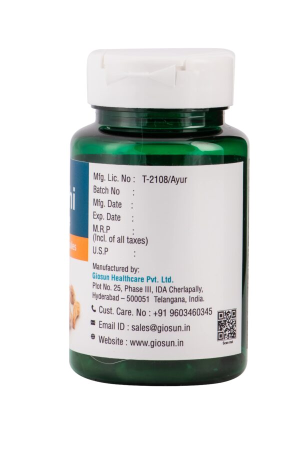 Shunti - 500mg Capsule - Image 2