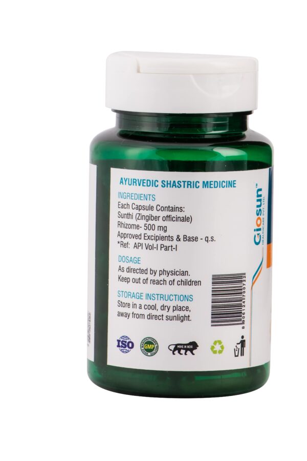 Shunti - 500mg Capsule - Image 3
