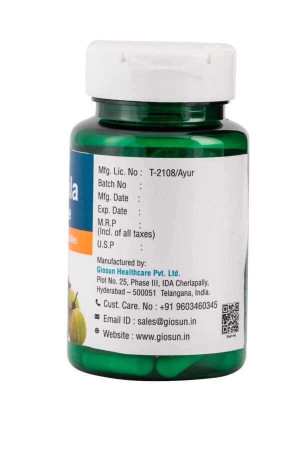 Triphala - 500mg Capsule - Image 5