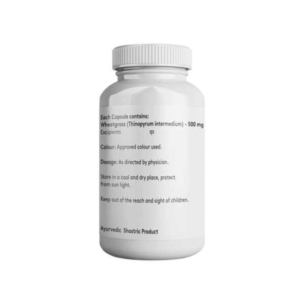 Wheatgrass - 500mg Capsule - Image 3