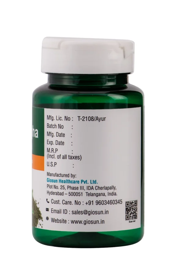 Kalamegha 100gm Churna - Image 3