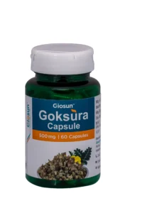 Gokshura – 500mg Capsule