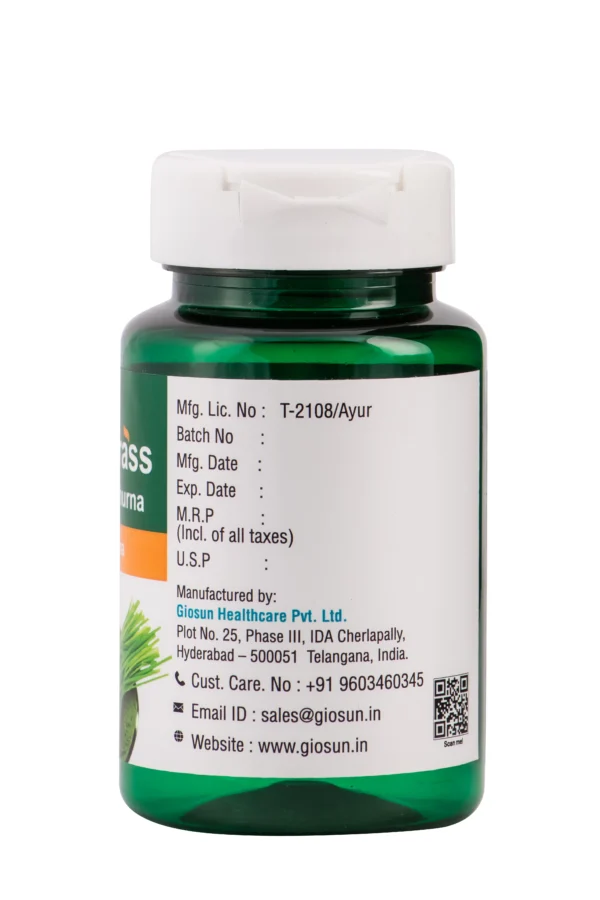 Wheat Grass 100gm Churna - Image 3